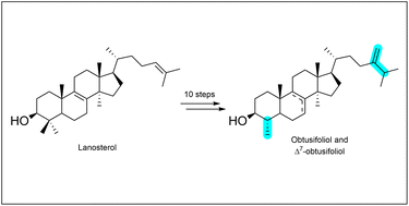 Graphical abstract: Synthesis of obtusifoliol and analogues as CYP51 substrates