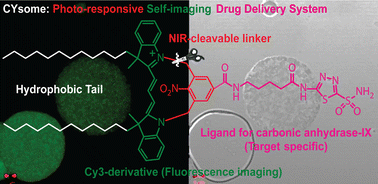 Graphical abstract: A photo-responsive fluorescent amphiphile for target-specific and image-guided drug delivery applications