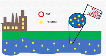 Graphical abstract: Supramolecular self-associating amphiphiles as aqueous pollutant scavengers