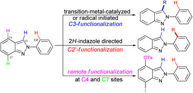 Graphical abstract: Recent advances in C–H functionalization of 2H-indazoles