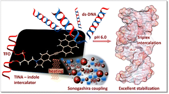 Graphical abstract: Hoogsteen triplexes stabilized through ethynyl-linked pyrene-indole synthesized by high-temperature Sonogashira coupling