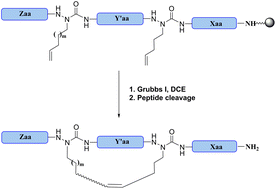Graphical abstract: Synthesis and biological evaluation of novel all-hydrocarbon cross-linked aza-stapled peptides