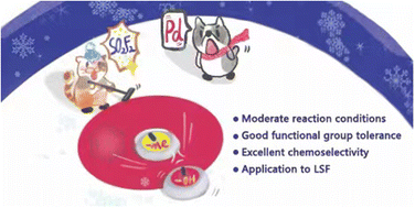 Graphical abstract: A late-stage functionalization tool: sulfonyl fluoride mediated deoxymethylation of phenols