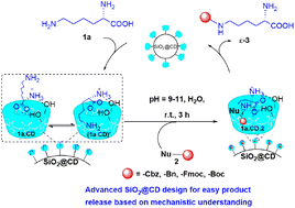 Graphical abstract: Mechanistic understanding and the rational design of a SiO2@CD catalyst for selective protection of l-lysine