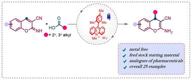 Graphical abstract: Visible-light-induced alkylation of 2-iminochromene