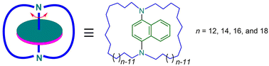 Graphical abstract: Synthesis and rotational dynamics of diazamacrocycles having bridged 1,4-naphthylene as framed molecular rotors