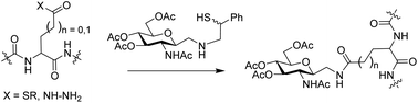 Graphical abstract: Investigation of acyl transfer auxiliary-assisted glycoconjugation for glycoprotein semi-synthesis