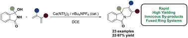 Graphical abstract: Aza-[4 + 2] cycloadditions employing catalytically derived N-acyliminium ions