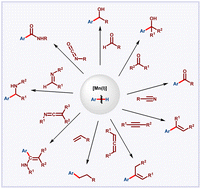 Graphical abstract: Manganese-catalyzed hydroarylation of multiple bonds