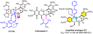 Graphical abstract: Simplified hybrids of two anticancer bistetrahydroisoquinoline alkaloids ecteinascidin 743 and cribrostatin 4 and inhibitory activity against proliferation of cancer cells
