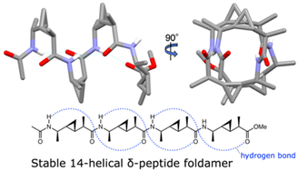 Graphical abstract: Helix-forming aliphatic homo-δ-peptide foldamers based on the conformational restriction effects of cyclopropane