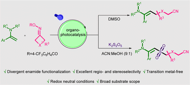 Graphical abstract: Divergent cyanoalkylation/cyanoalkylsulfonylation of enamides under organophotoredox catalytic conditions