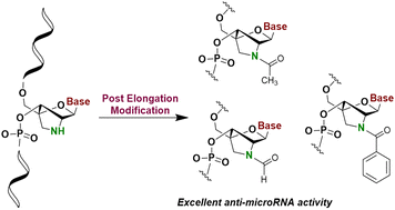 Graphical abstract: Parallel synthesis of oligonucleotides containing N-acyl amino-LNA and their therapeutic effects as anti-microRNAs