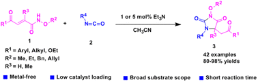 Graphical abstract: Organocatalytic cascade nucleophilic/aza-Michael addition reactions: metal-free catalytic strategy for the synthesis of hydantoins