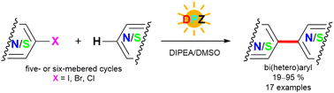 Graphical abstract: Construction of bi(hetero)aryls via dicyanopyrazine-mediated photochemical cross-coupling