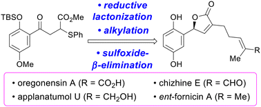 Graphical abstract: Total syntheses of Ganoderma-derived meroterpenoids, (−)-oregonensin A, (−)-chizhine E, (−)-applanatumol U, and (−)-ent-fornicin A