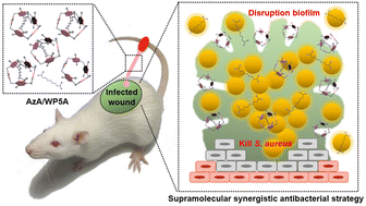 Graphical abstract: Host–guest synergistic enhancement of antibacterial effect by a supramolecular strategy