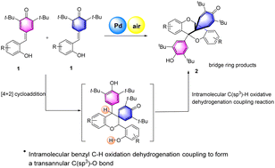 Graphical abstract: Facile construction of dibenzodioxo[3.3.1]nonanes bearing spirocyclohexadienones via domino [4 + 2] cycloaddition/C(sp3)–H oxidative dehydrogenation coupling reactions