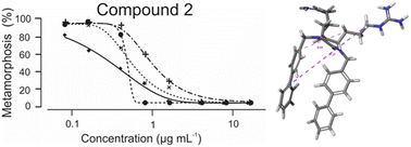 Graphical abstract: Effect of regio- and stereoisomerism on antifouling 2,5-diketopiperazines