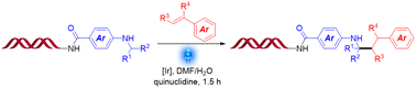 Graphical abstract: Photoredox-catalysed hydroaminoalkylation of on-DNA N-arylamines