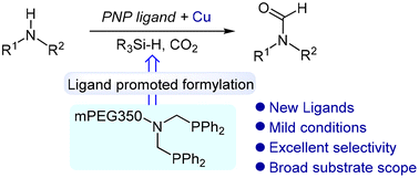 Graphical abstract: PNP-type ligands enabled copper-catalyzed N-formylation of amines with CO2 in the presence of silanes