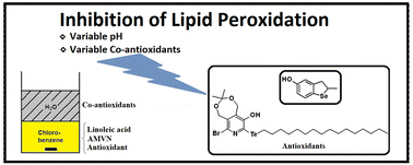 Graphical abstract: Modulation of the chain-breaking antioxidant activity of phenolic organochalcogens with various co-antioxidants at various pH values