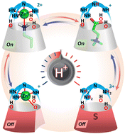 Graphical abstract: A 4-state acid–base controlled molecular switch based on a host–guest system