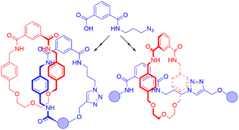 Graphical abstract: Hydrogen bond templated synthesis of catenanes and rotaxanes from a single isophthalic acid derivative