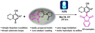Graphical abstract: Regioselective C(sp2)–H imidation of arenes by redox neutral visible-light photocatalysis
