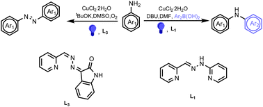Graphical abstract: Polydentate hydrazones as multitasking catalysts in visible-light-induced coupling reactions of amines