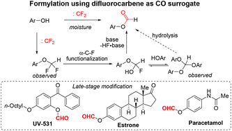 Graphical abstract: Direct formylation of phenols using difluorocarbene as a safe CO surrogate