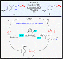 Graphical abstract: Mechanistic explorations on the decarboxylative allylation of amino esters via dual photoredox and palladium catalysis