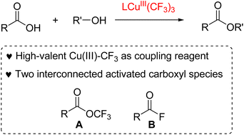 Graphical abstract: High-valent Cu(iii)–CF3 compound-mediated esterification reaction