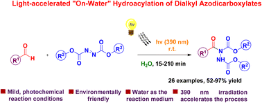 Graphical abstract: Light-accelerated “on-water” hydroacylation of dialkyl azodicarboxylates