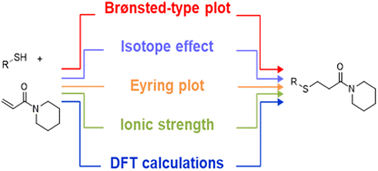 Graphical abstract: A mechanistic study of thiol addition to N-acryloylpiperidine