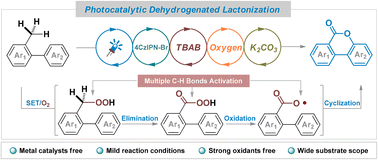 Graphical abstract: Syntheses of functionalized benzocoumarins by photoredox catalysis