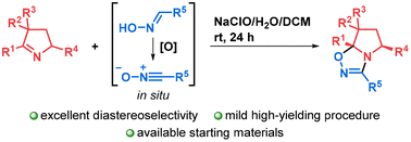Graphical abstract: Diastereoselective synthesis of tetrahydropyrrolo[1,2-d]oxadiazoles from functionalized Δ1-pyrrolines and in situ generated nitrile oxides