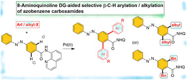 Graphical abstract: Pd(ii)-catalyzed selective β-C–H functionalization of azobenzene carboxamides