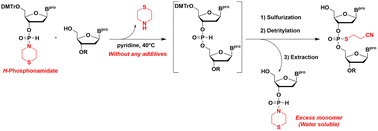 Graphical abstract: Development of a new synthetic method for oligodeoxynucleotides using 3′-H-phosphonamidate derivatives