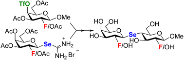 Graphical abstract: Synthesis of fluoro- and seleno-containing d-lactose and d-galactose analogues