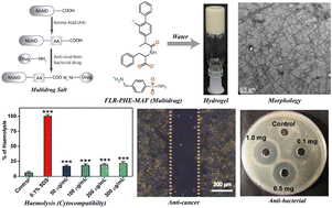 Graphical abstract: Phenylalanine conjugated supramolecular hydrogels developed from the mafenide and flurbiprofen multidrug for biological applications