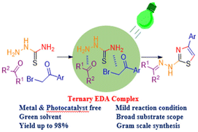 Graphical abstract: Visiblelight-induced ternary electron donor–acceptor complex enabled synthesis of 2-(2-hydrazinyl) thiazole derivatives and the assessment of their antioxidant and antidiabetic therapeutic potential