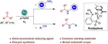 Graphical abstract: Ruthenium-catalyzed reductive amination of ketones with nitroarenes and nitriles