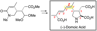 Graphical abstract: Total synthesis of (−)-domoic acid, a potent ionotropic glutamate receptor agonist and the key compound in oceanic harmful algal blooms