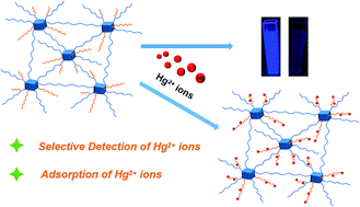 Graphical abstract: A sulfur-containing fluorescent hybrid porous polymer for selective detection and adsorption of Hg2+ ions