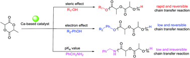 Graphical abstract: Immortal polymerization of LA: the influence of steric effects, electronic effects and pKa on chain transfer agents