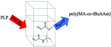 Graphical abstract: Radical copolymerization kinetics of N-tert-butyl acrylamide and methyl acrylate in polar media