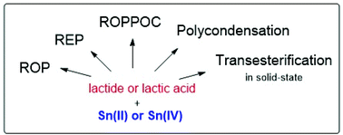Graphical abstract: Syntheses of polylactides by means of tin catalysts