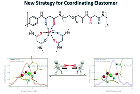 Graphical abstract: A reconfigurable crosslinking system via an asymmetric metal–ligand coordination strategy