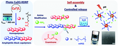 Graphical abstract: Functional pH-responsive polymers containing dynamic enaminone linkages for the release of active organic amines